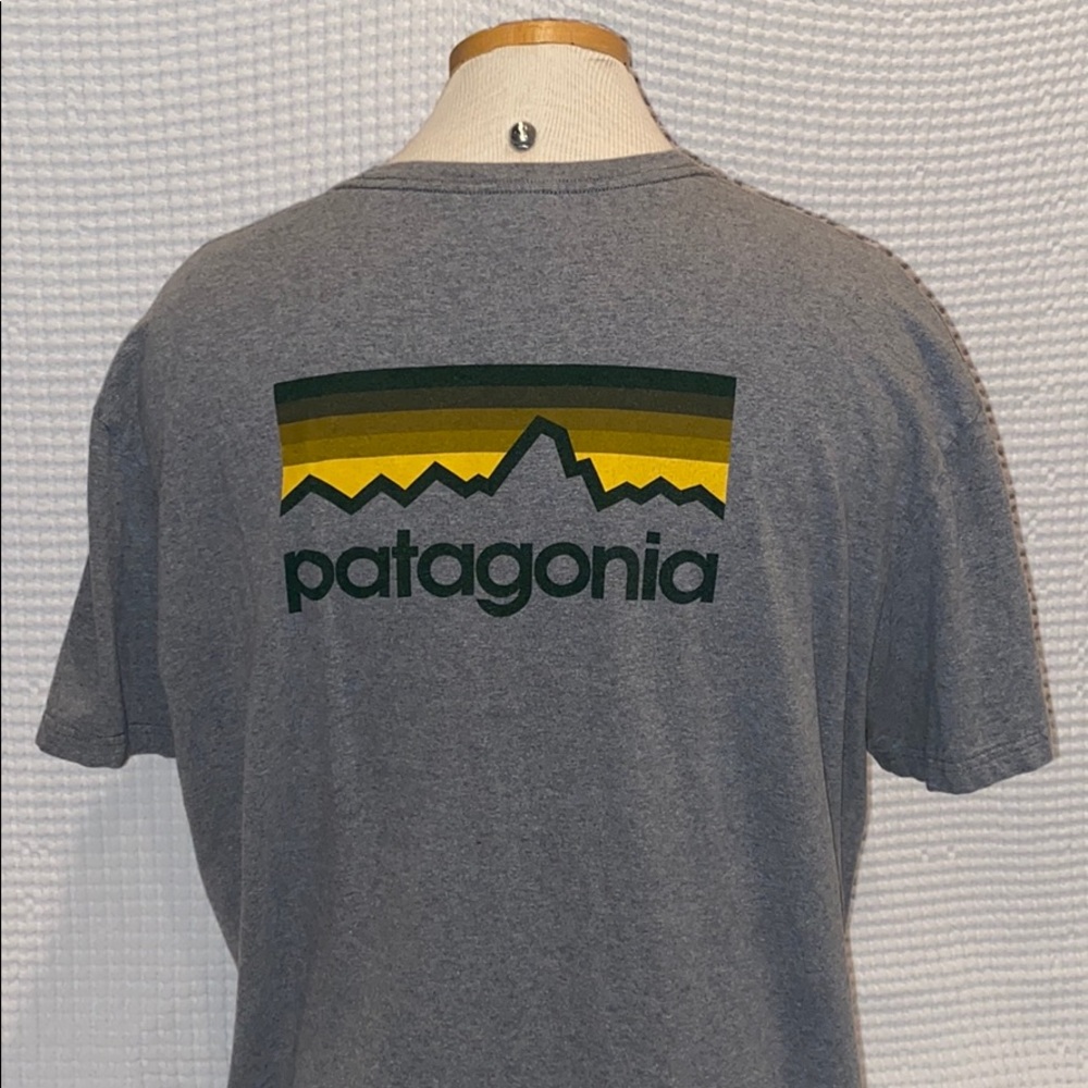 Patagonia tee